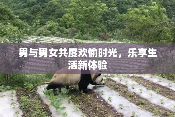 男与男女共度欢愉时光，乐享生活新体验