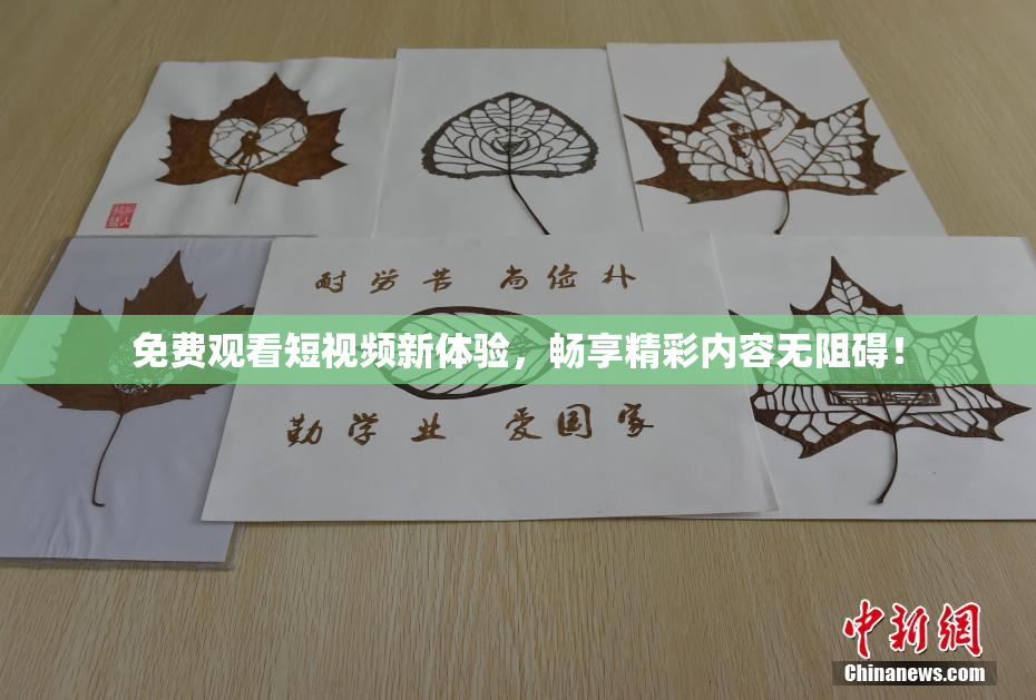 免费观看短视频新体验，畅享精彩内容无阻碍！