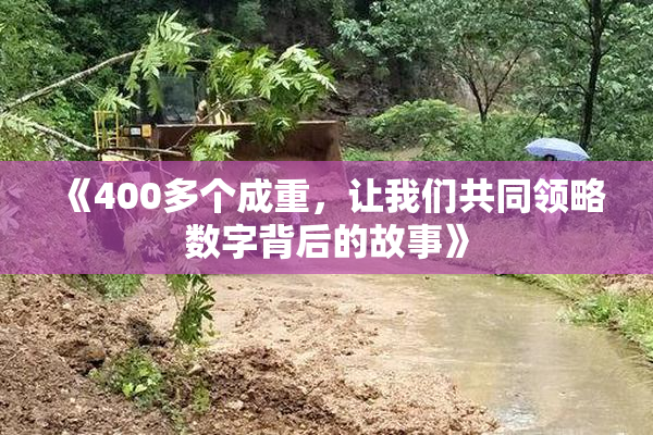 《400多个成重，让我们共同领略数字背后的故事》