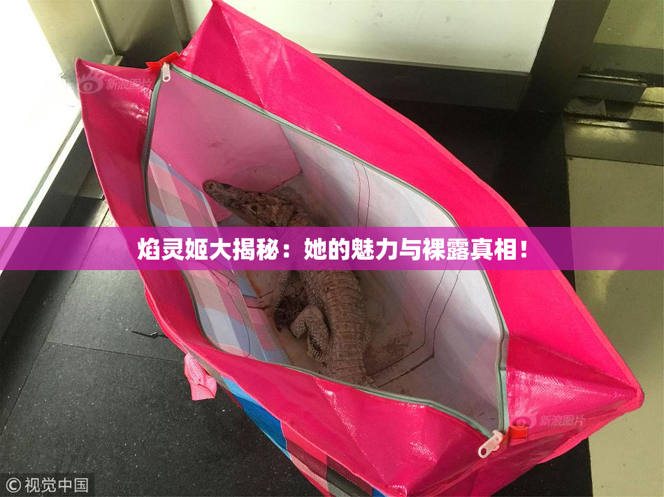 焰灵姬大揭秘：她的魅力与裸露真相！