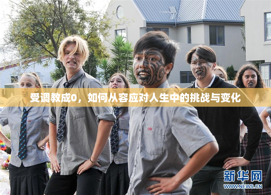 受调教成0，如何从容应对人生中的挑战与变化
