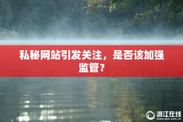 私秘网站引发关注，是否该加强监管？