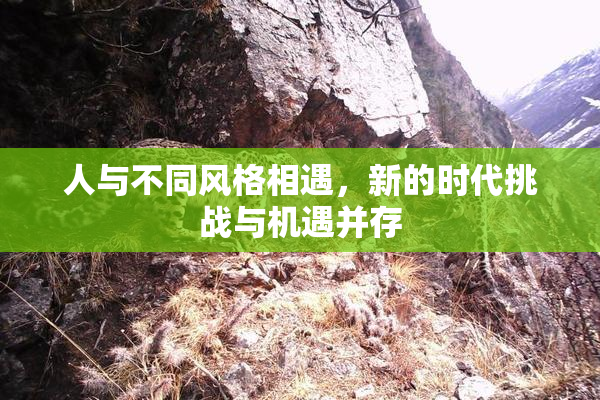 人与不同风格相遇，新的时代挑战与机遇并存