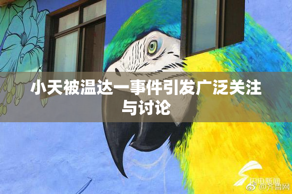 小天被温达一事件引发广泛关注与讨论