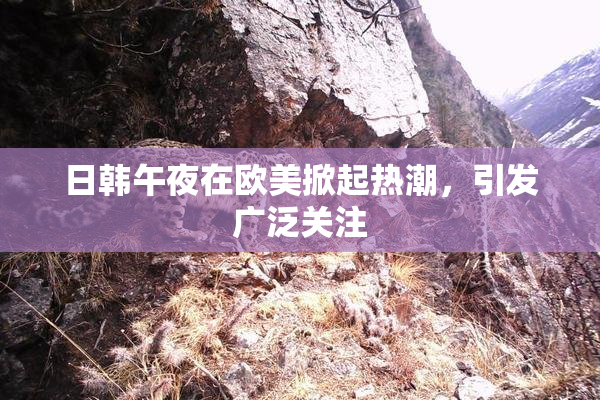 日韩午夜在欧美掀起热潮，引发广泛关注