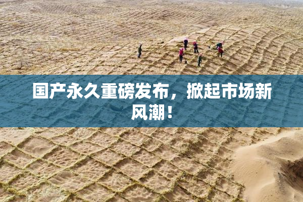 国产永久重磅发布，掀起市场新风潮！