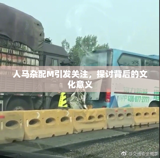 人马杂配M引发关注，探讨背后的文化意义