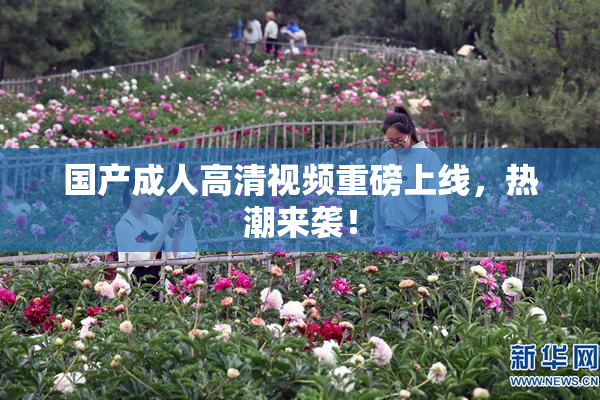 国产成人高清视频重磅上线，热潮来袭！