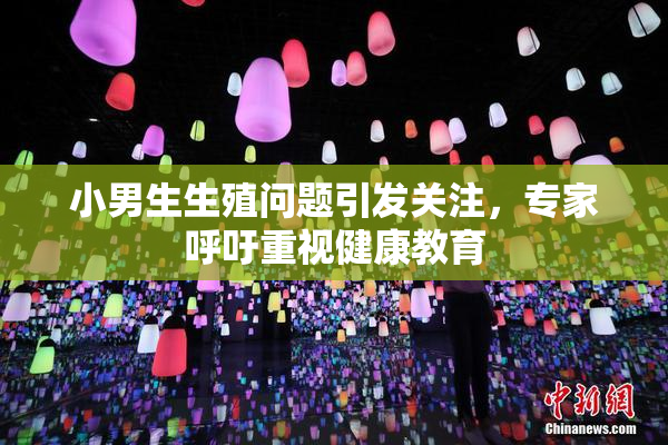 小男生生殖问题引发关注，专家呼吁重视健康教育