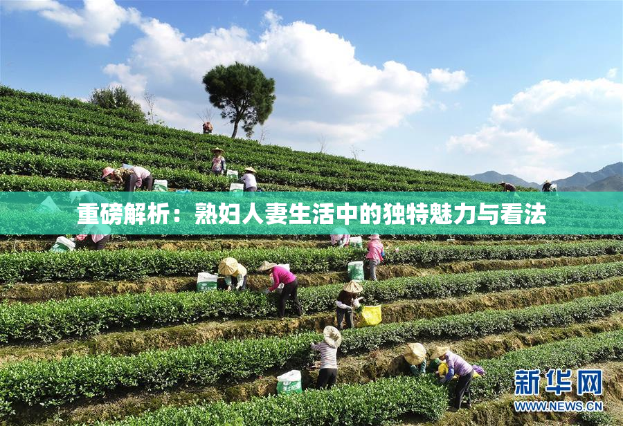 重磅解析：熟妇人妻生活中的独特魅力与看法