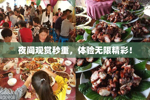 夜间观赏秒重，体验无限精彩！