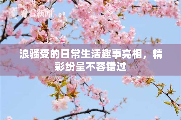 浪骚受的日常生活趣事亮相，精彩纷呈不容错过