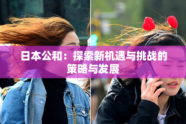 日本公和：探索新机遇与挑战的策略与发展