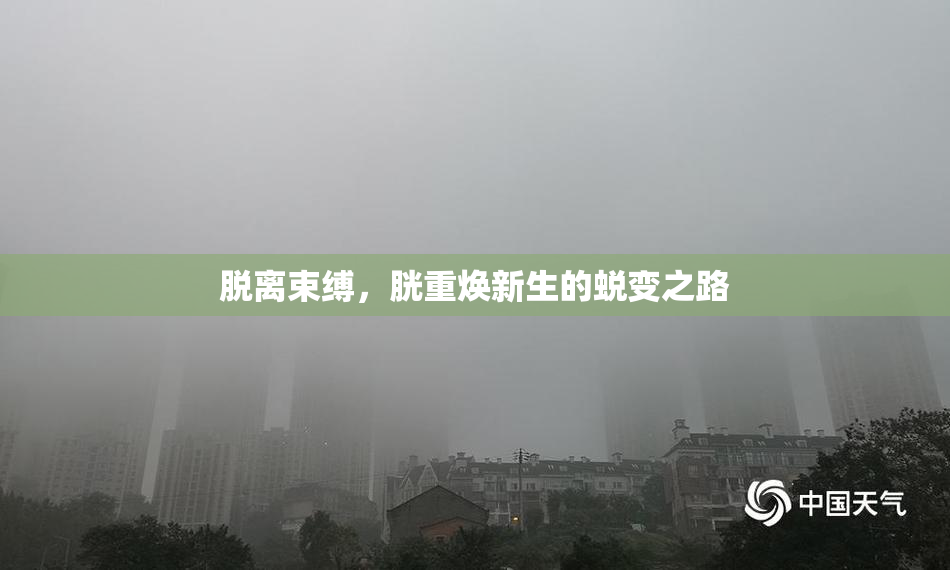 脱离束缚，胱重焕新生的蜕变之路