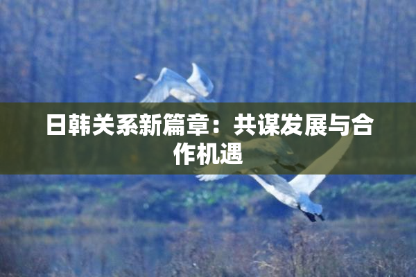 日韩关系新篇章：共谋发展与合作机遇