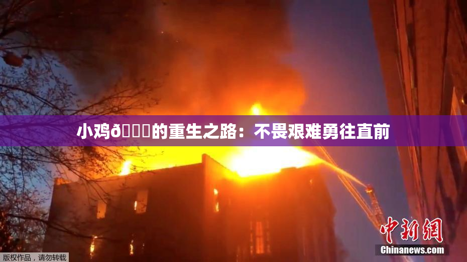 小鸡🐔的重生之路：不畏艰难勇往直前