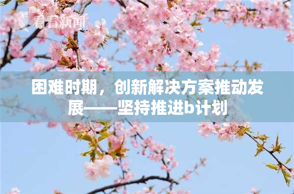 困难时期，创新解决方案推动发展——坚持推进b计划