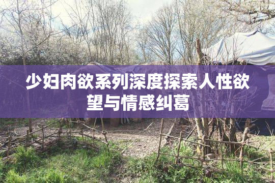 少妇肉欲系列深度探索人性欲望与情感纠葛