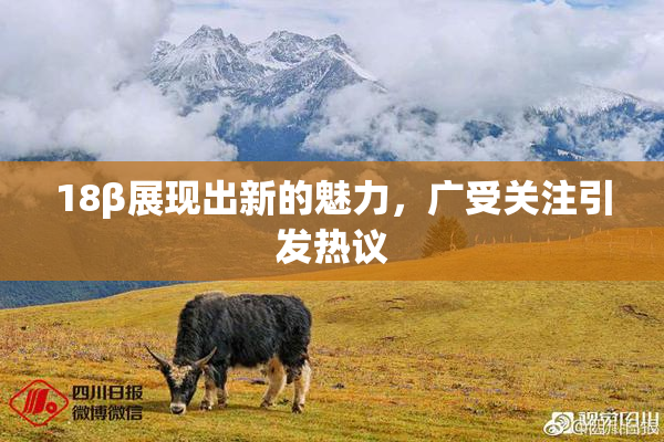 18β展现出新的魅力，广受关注引发热议