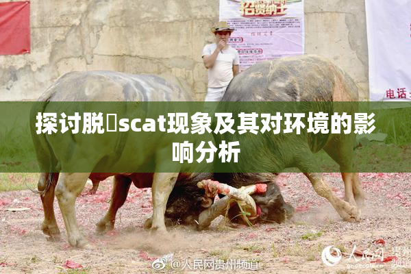探讨脱糞scat现象及其对环境的影响分析