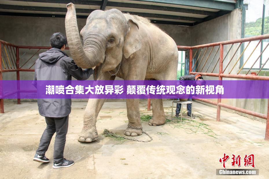 潮喷合集大放异彩 颠覆传统观念的新视角