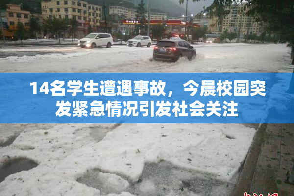 14名学生遭遇事故，今晨校园突发紧急情况引发社会关注