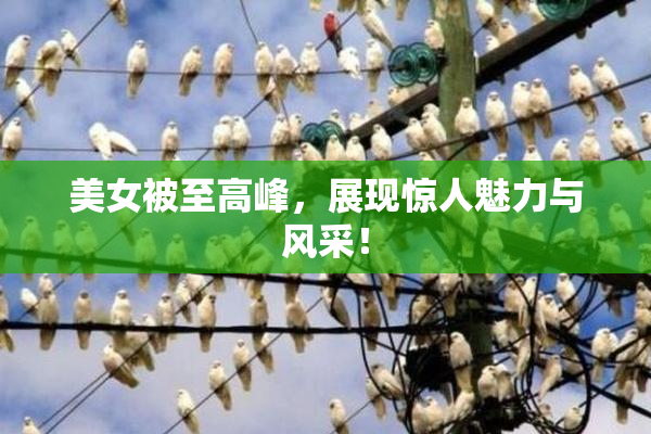 美女被至高峰，展现惊人魅力与风采！