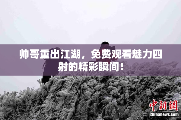 帅哥重出江湖，免费观看魅力四射的精彩瞬间！
