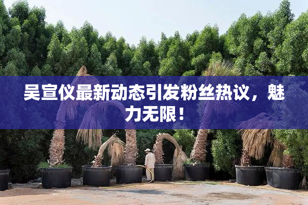 吴宣仪最新动态引发粉丝热议，魅力无限！