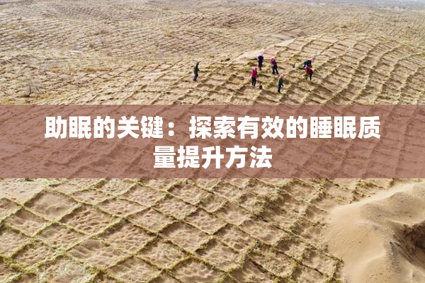 助眠的关键：探索有效的睡眠质量提升方法
