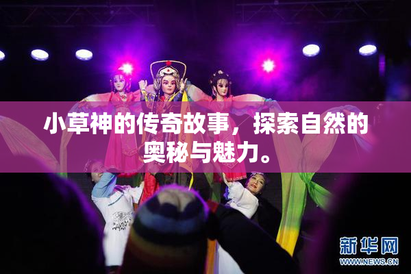 小草神的传奇故事，探索自然的奥秘与魅力。