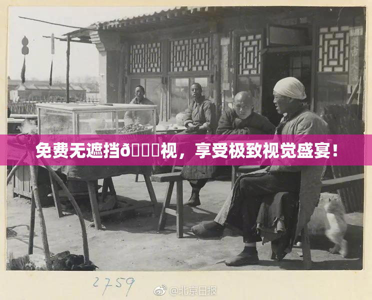 免费无遮挡🔞视，享受极致视觉盛宴！
