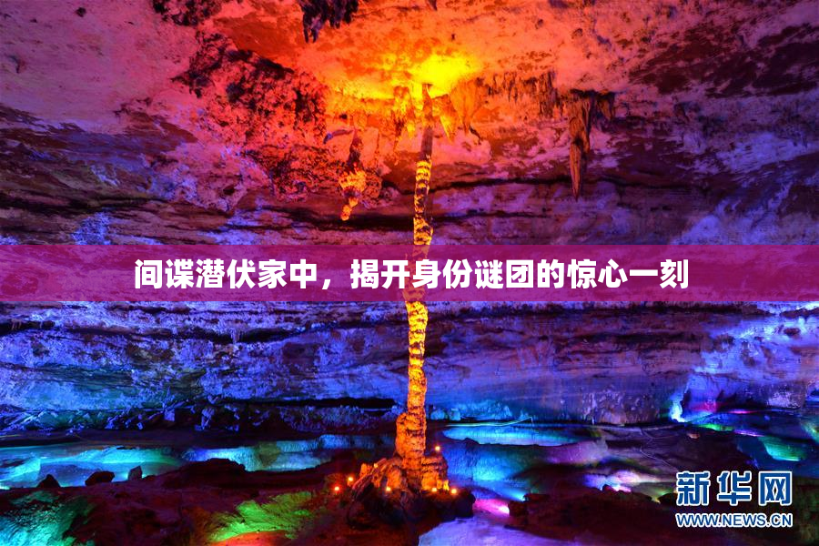 间谍潜伏家中，揭开身份谜团的惊心一刻