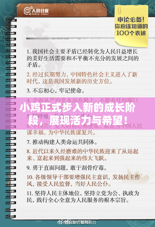 小鸡正式步入新的成长阶段，展现活力与希望！