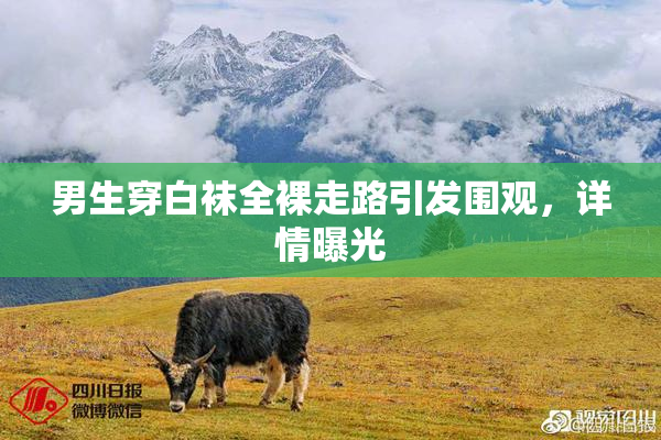 男生穿白袜全裸走路引发围观，详情曝光