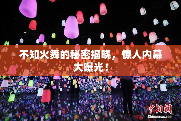 不知火舞的秘密揭晓，惊人内幕大曝光！