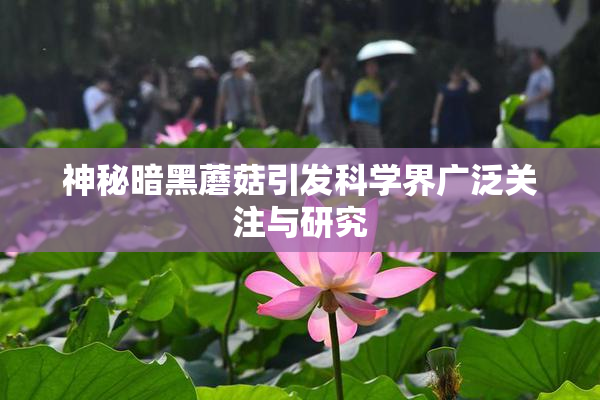 神秘暗黑蘑菇引发科学界广泛关注与研究