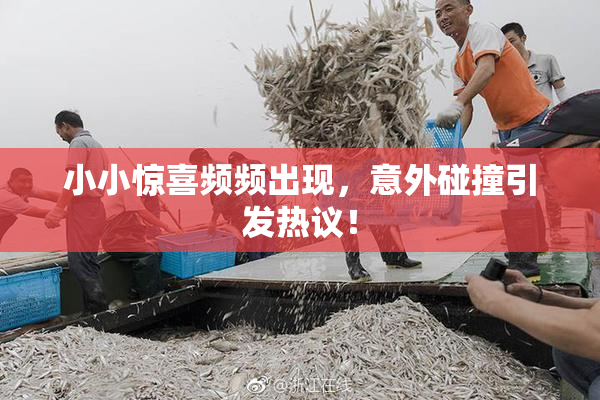 小小惊喜频频出现，意外碰撞引发热议！