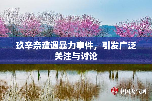 玖辛奈遭遇暴力事件，引发广泛关注与讨论