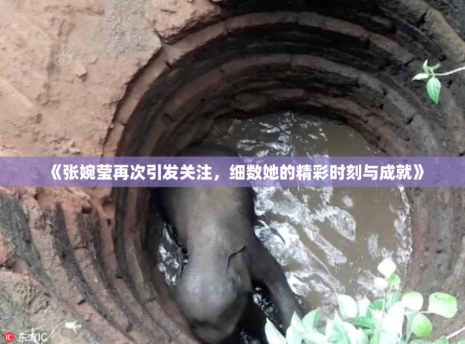 《张婉莹再次引发关注，细数她的精彩时刻与成就》
