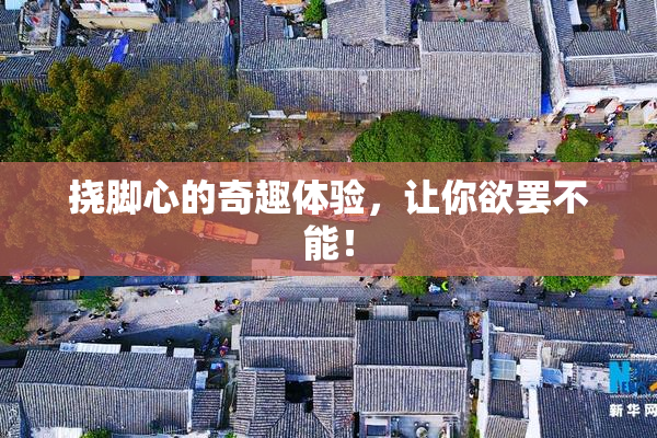 挠脚心的奇趣体验，让你欲罢不能！