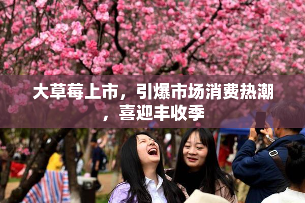 大草莓上市，引爆市场消费热潮，喜迎丰收季