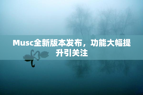 Musc全新版本发布，功能大幅提升引关注