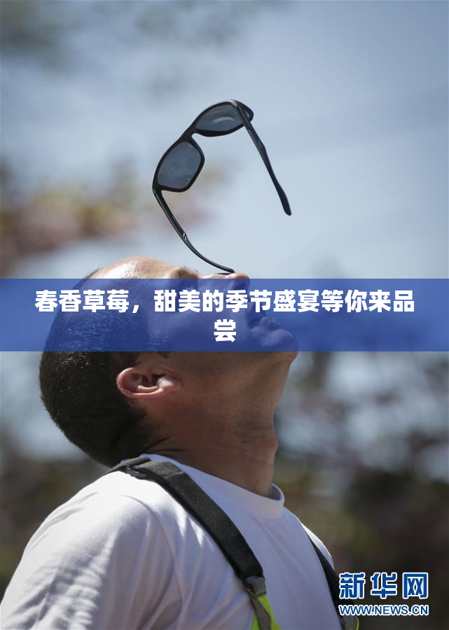 春香草莓，甜美的季节盛宴等你来品尝
