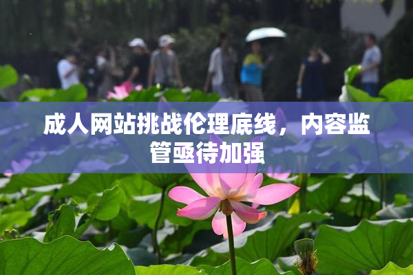 成人网站挑战伦理底线，内容监管亟待加强