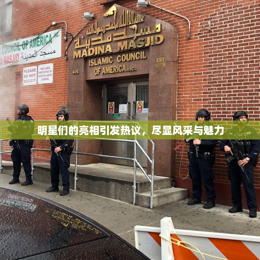 明星们的亮相引发热议，尽显风采与魅力