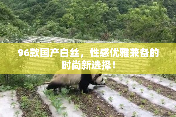 96款国产白丝，性感优雅兼备的时尚新选择！