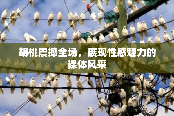胡桃震撼全场，展现性感魅力的裸体风采