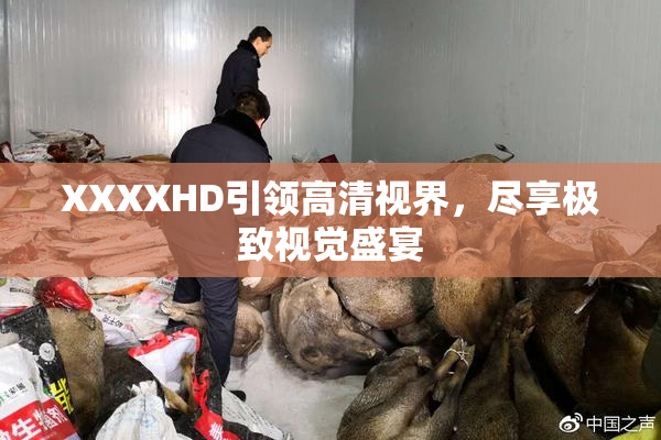 XXXXHD引领高清视界，尽享极致视觉盛宴
