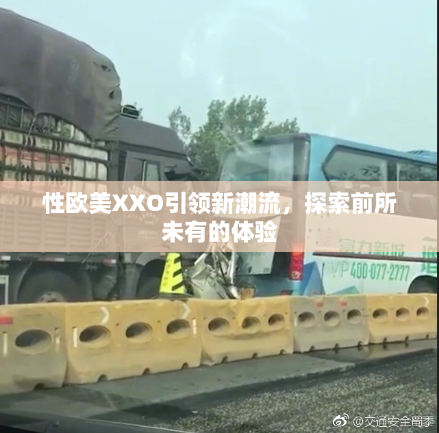 性欧美XXO引领新潮流，探索前所未有的体验
